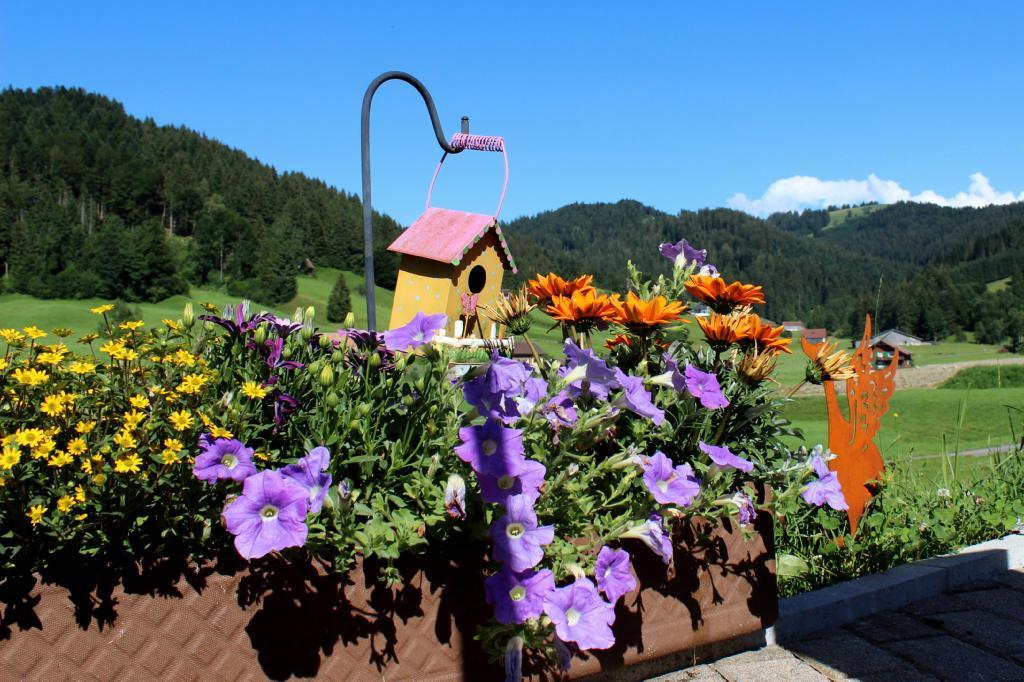 Haflingerhof Fruhboden Villa Egg Kültér fotó