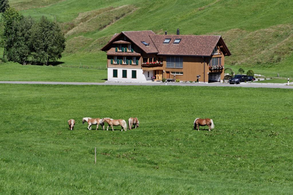 Haflingerhof Fruhboden Villa Egg Kültér fotó