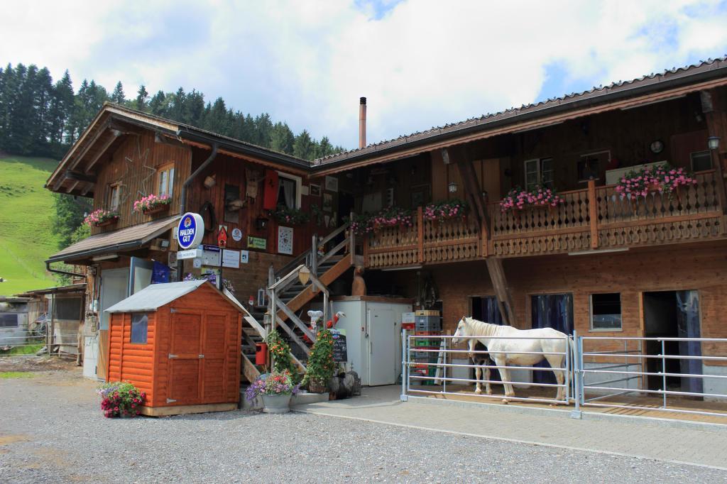 Haflingerhof Fruhboden Villa Egg Kültér fotó