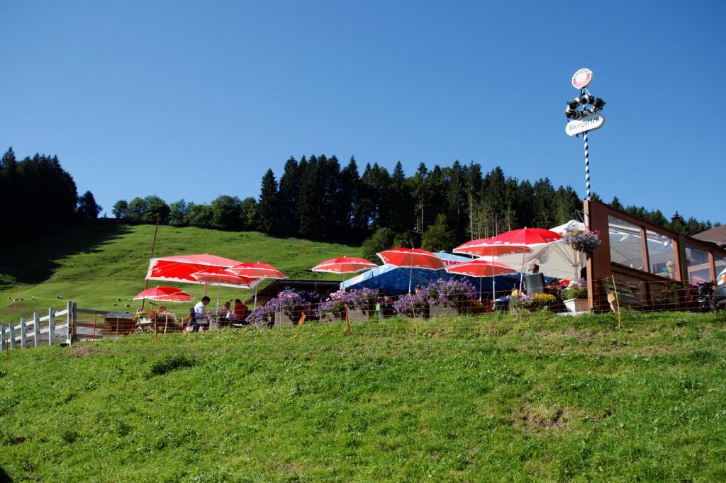 Haflingerhof Fruhboden Villa Egg Kültér fotó