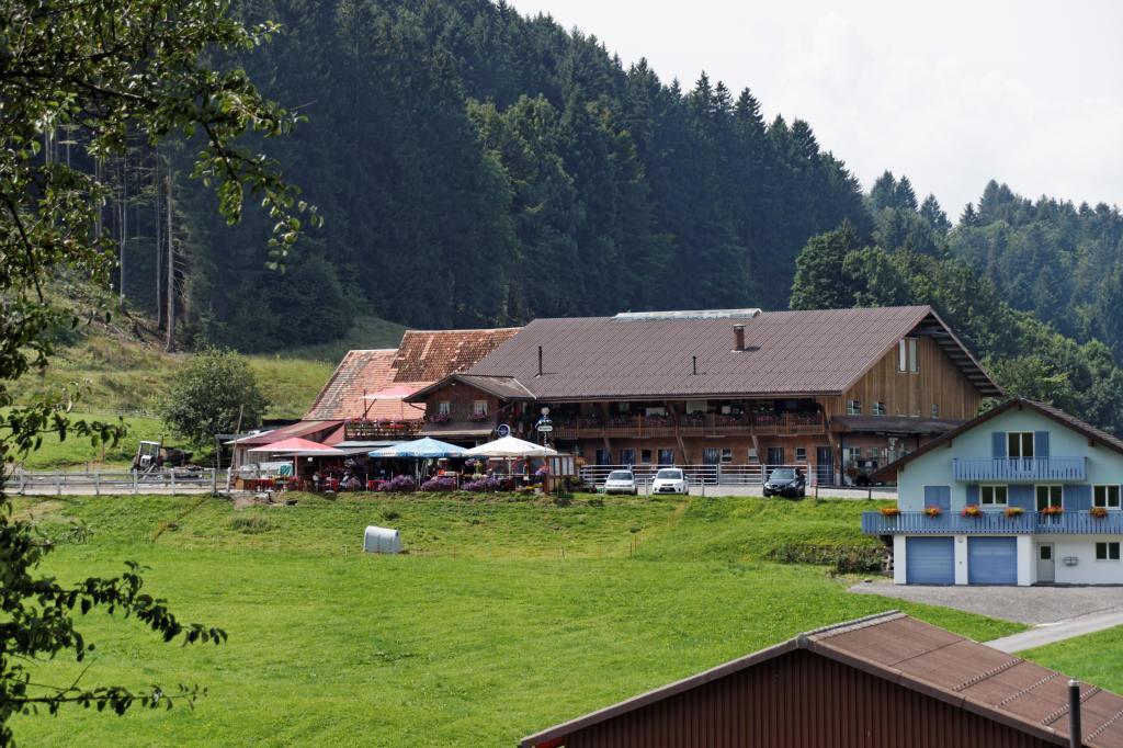 Haflingerhof Fruhboden Villa Egg Kültér fotó