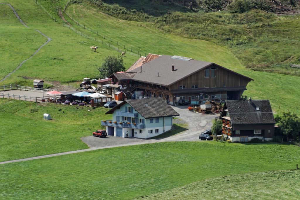 Haflingerhof Fruhboden Villa Egg Kültér fotó